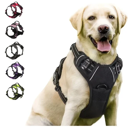 Large Dog Harness/ Vest Leash